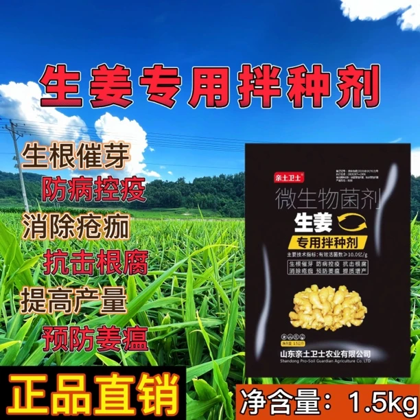 生姜专用拌种剂复合10亿微生物菌剂生根催芽预防姜瘟根腐