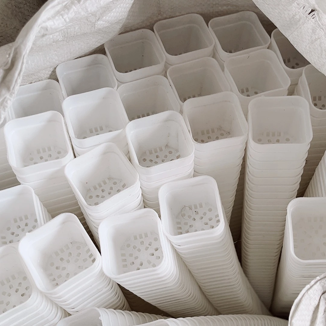 塑料福利款4厘米白方盆50个无托