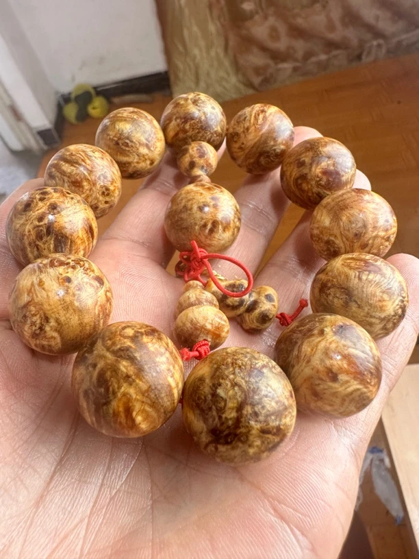 琥珀木120款留疤花，满花爆款