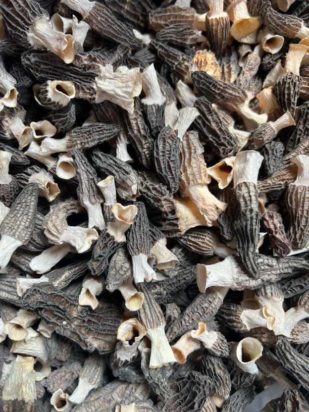 捡漏精品六妹羊肚菌0605