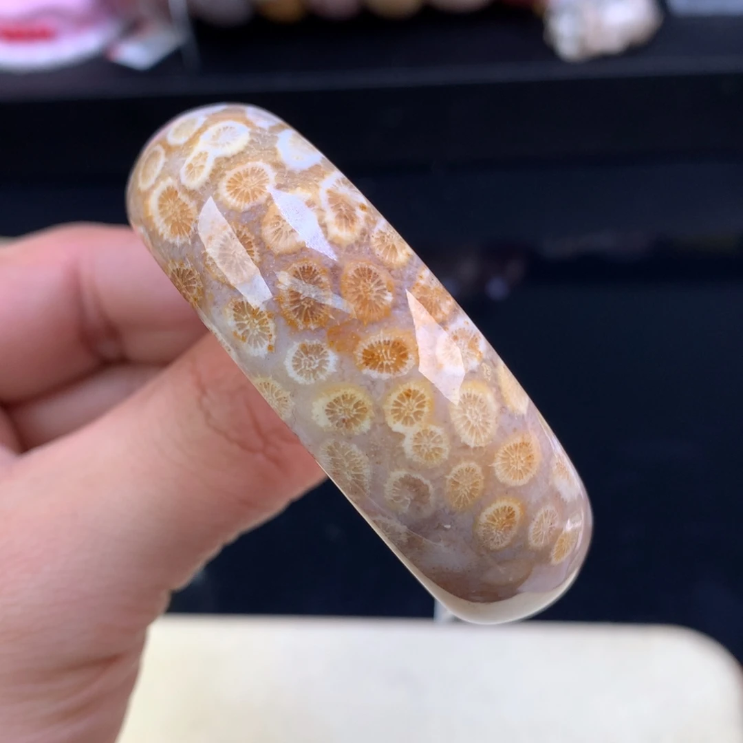 硅化珊瑚（珊瑚玉）未镶嵌颈饰25号51.2圈柠檬片