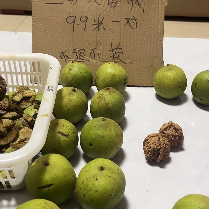 官帽青皮不退不换