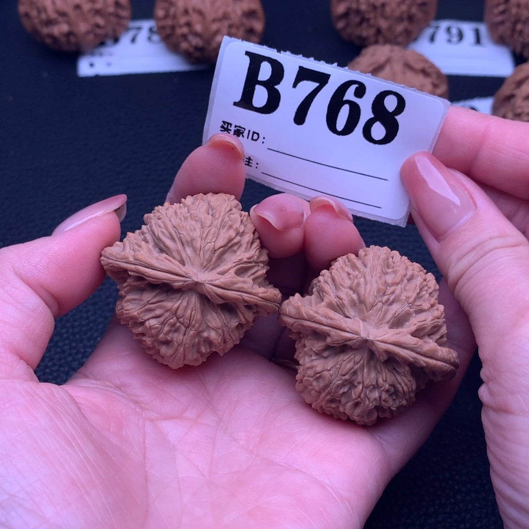 核桃白狮768链接41尺全