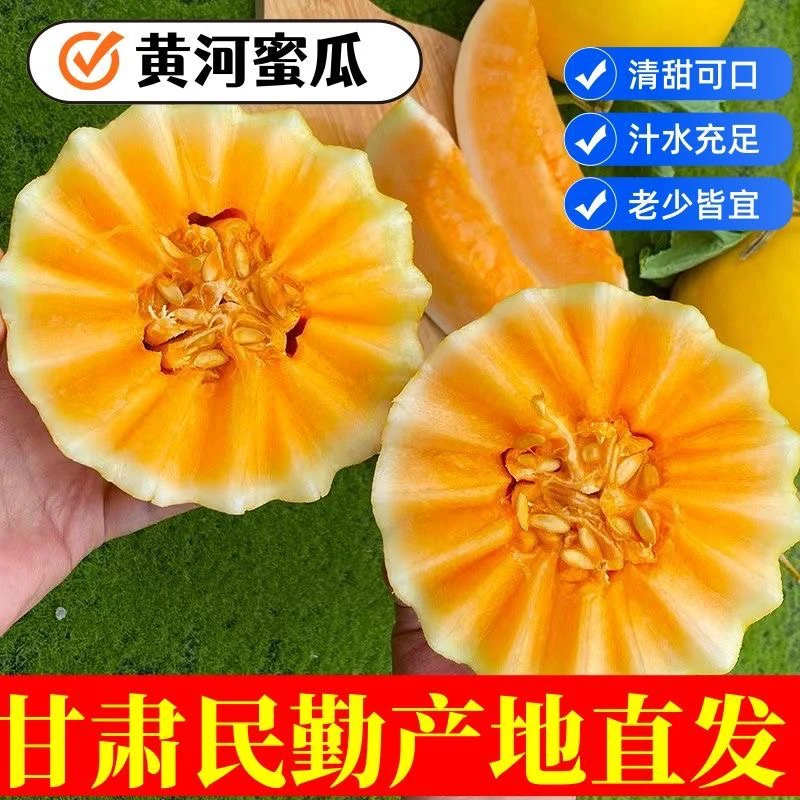 甘肃民勤沙漠蜜瓜金红宝甜蜜多汁新鲜水果产地直发9-10整箱包邮G