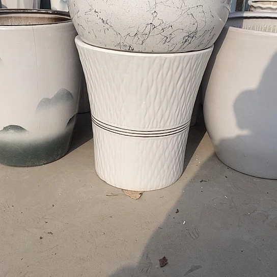 金腰线大号口32高36福利