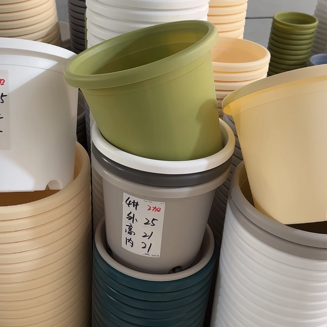 微瑕4号10个无托，果绿