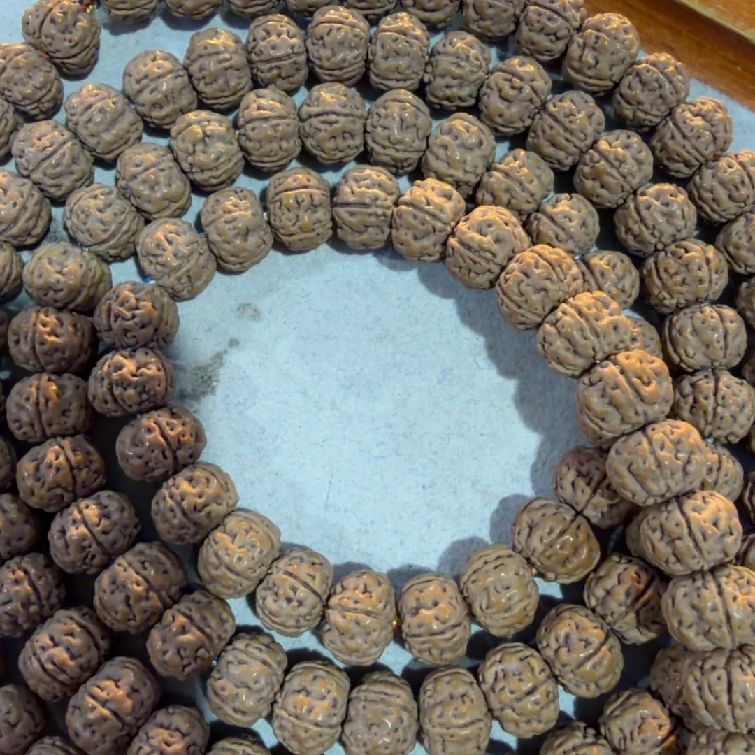 手串金刚菩提老树王