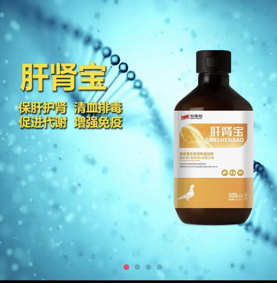 心连心肝shen宝鸽子肝精