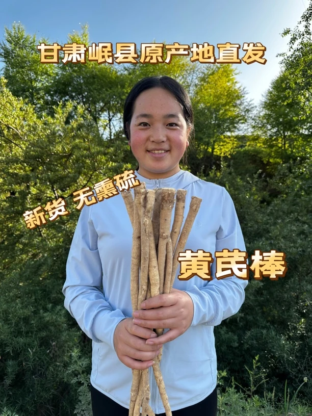 无硫干货 黄芪棒 泡水煲汤炖肉