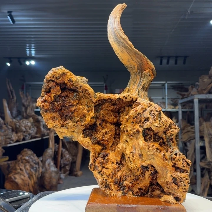 木卖****圣王一刀琥珀木75