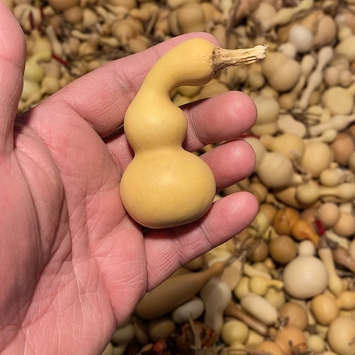 ༺****༻精品葫芦手把葫芦68