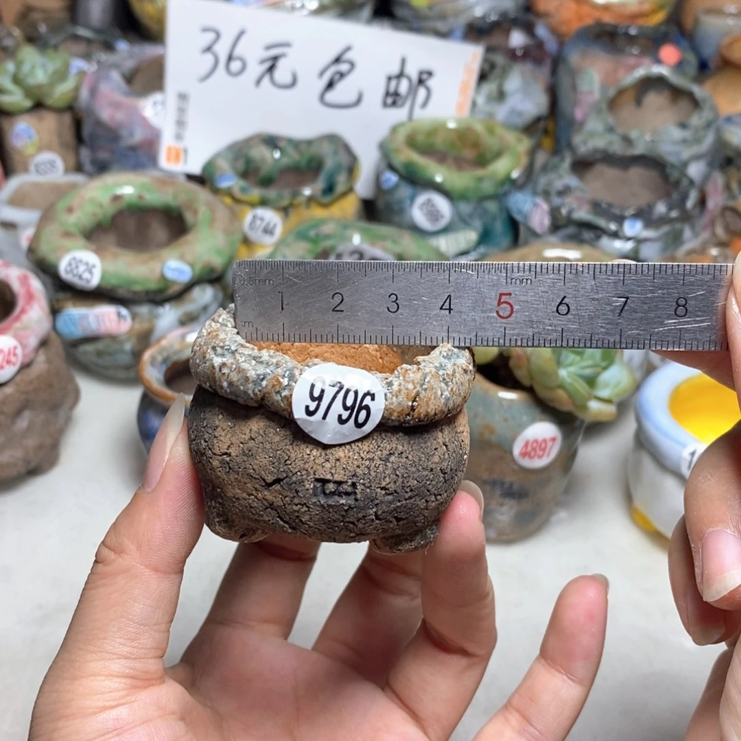 拍3送一个小礼物