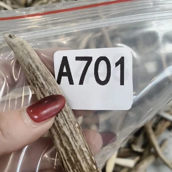 烟***火鹿角鹿角鹿角鹿角鹿角鹿角鹿角