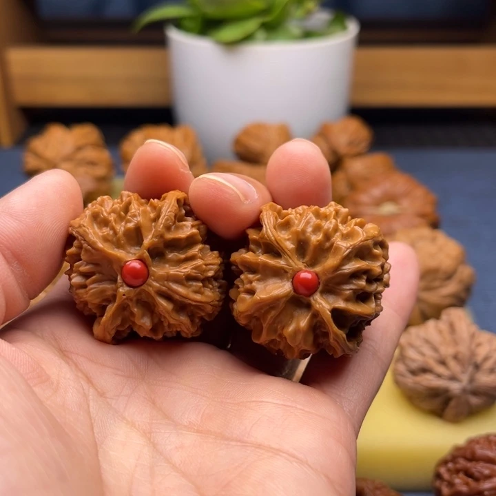 36➕苹果园狮子头镶南红