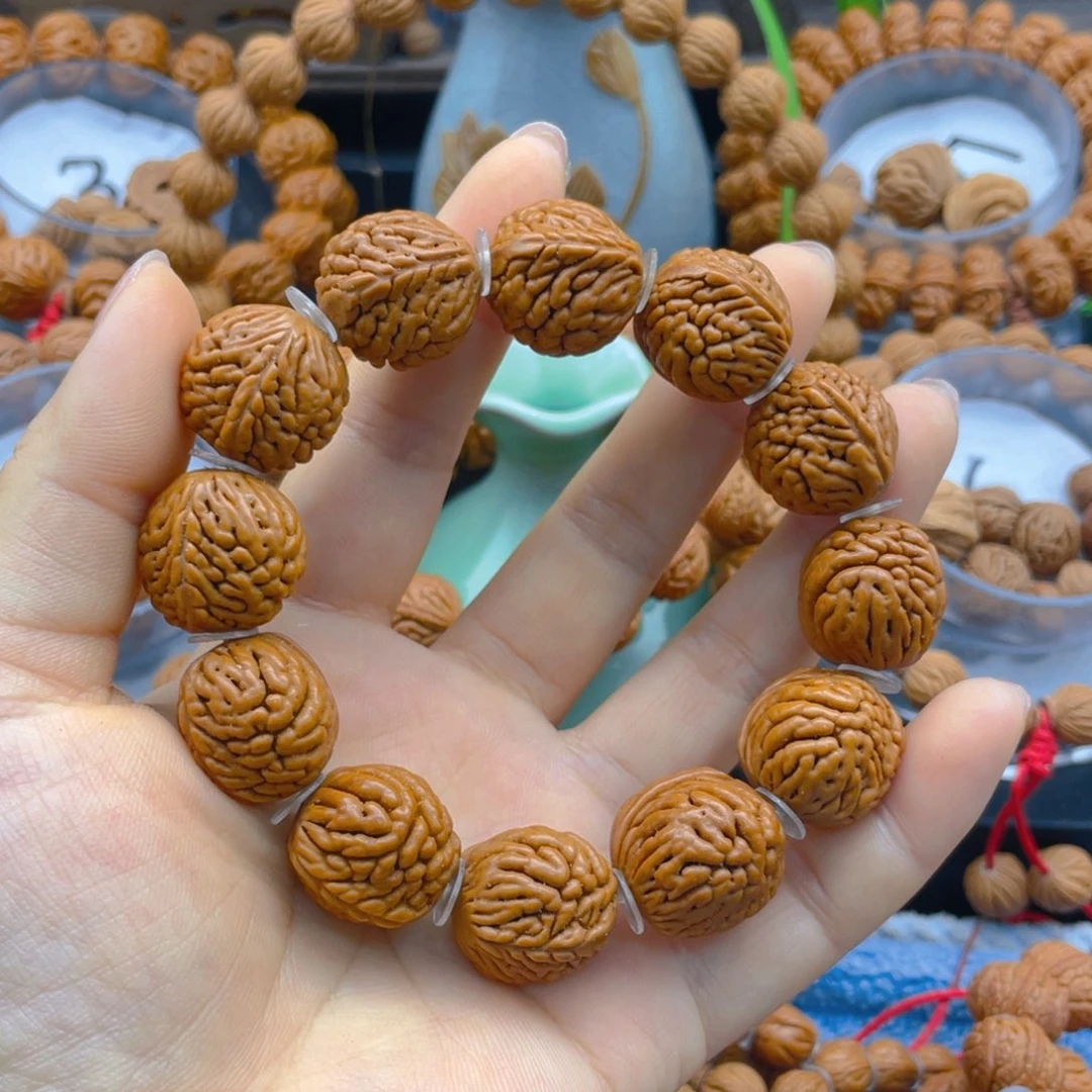 五爪金龙。红红火火。 娜娜