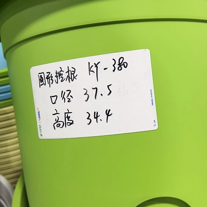 正品圆控口38高34果绿3只无托