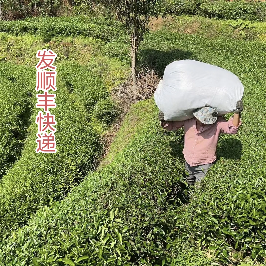 2025新茶【桂味桃香瑞香】花香大红袍250克
