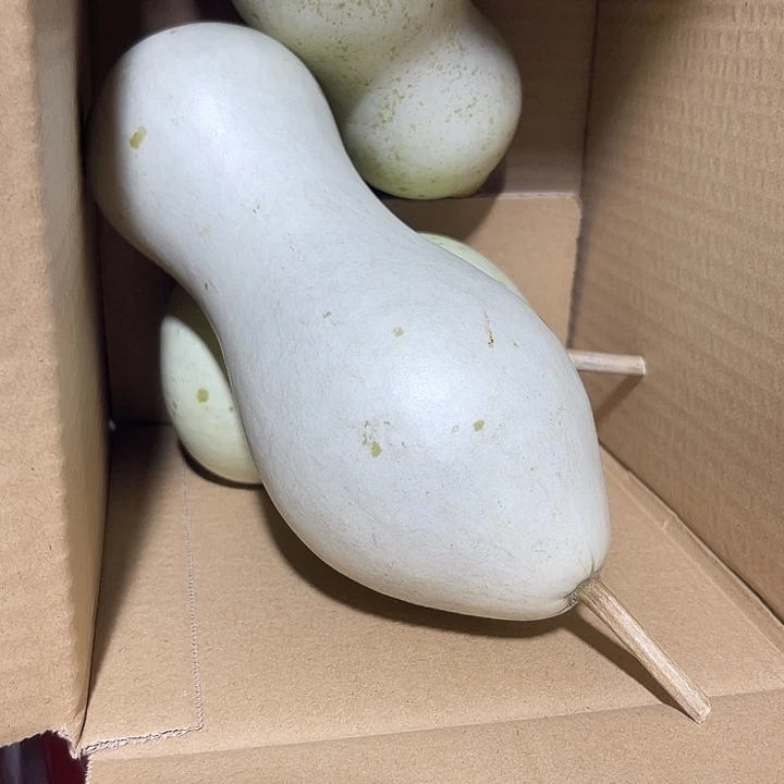 非洲紫檀（红花梨）海****9