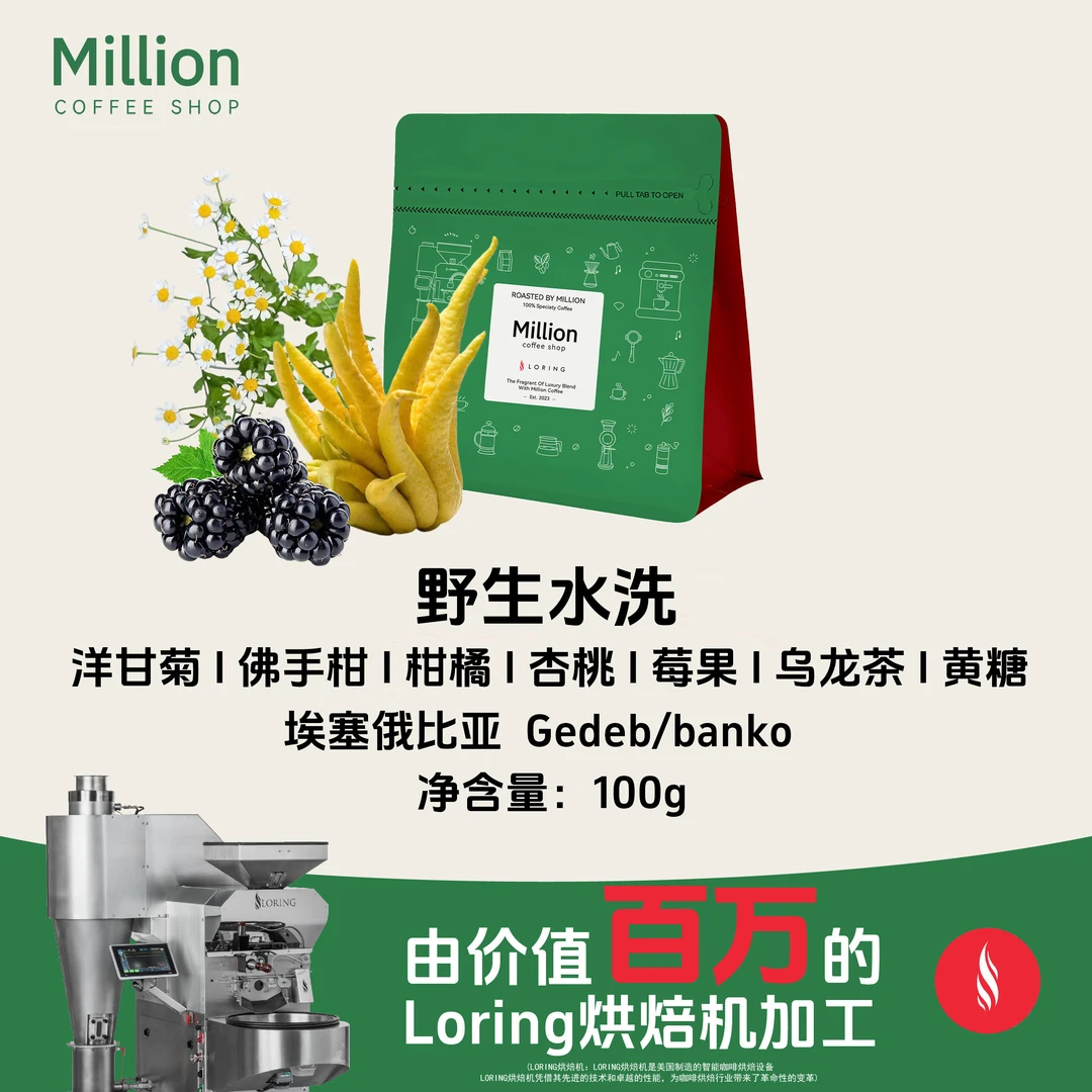埃塞俄比亚 未人工干预 野生水洗 精品咖啡豆100g
