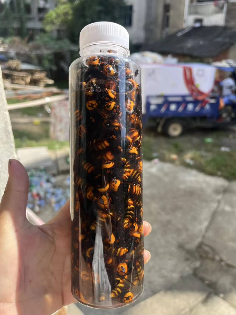 100只火头蜂蜂标