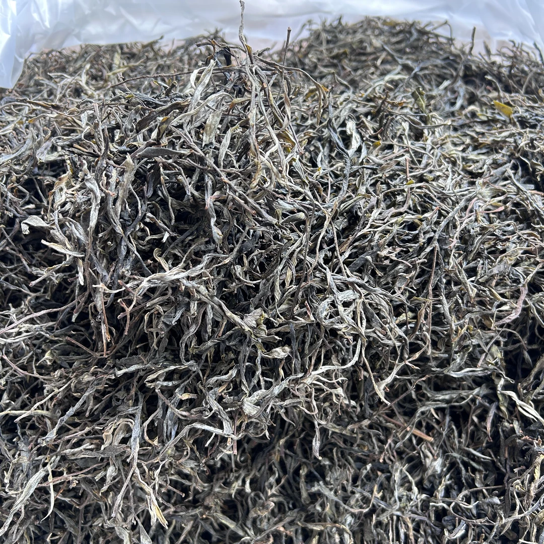 普洱茶易武刮风寨冷水河