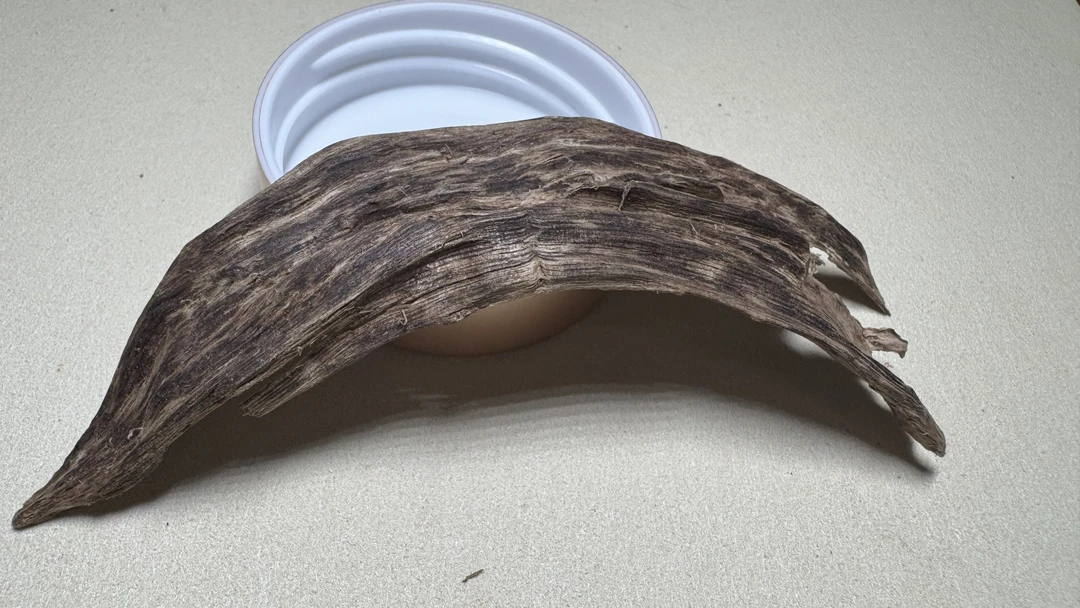 沉香海南沉香“青桂”5.51g