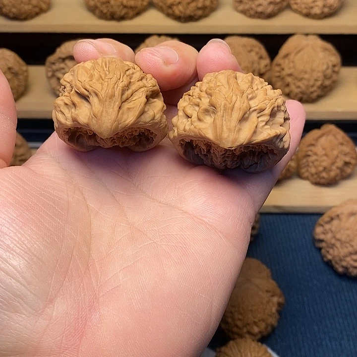 帥***大叶紫檀（黑酸枝木类）