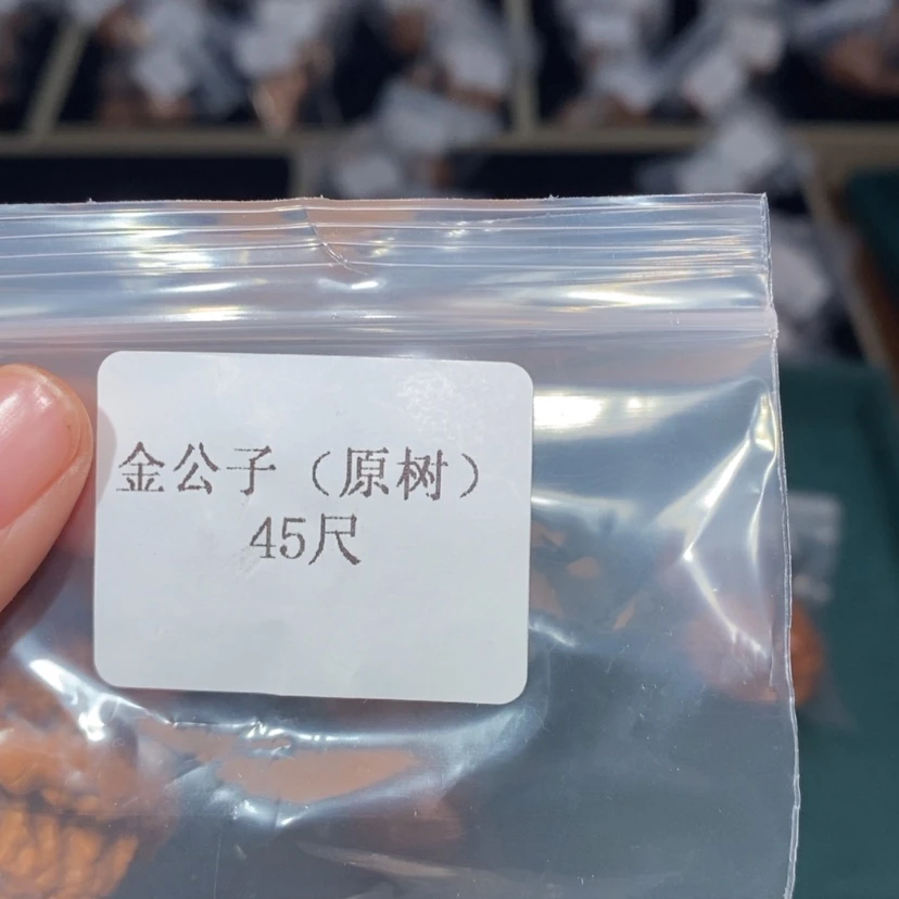 【闪购商品】吊坠文玩核桃45金公子5