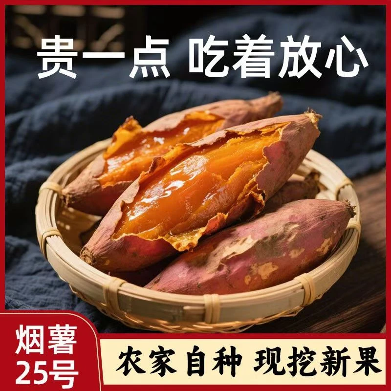 大连瓦房店正宗黄心蜜薯新鲜现挖软糯香甜口感似糖心的地瓜番薯