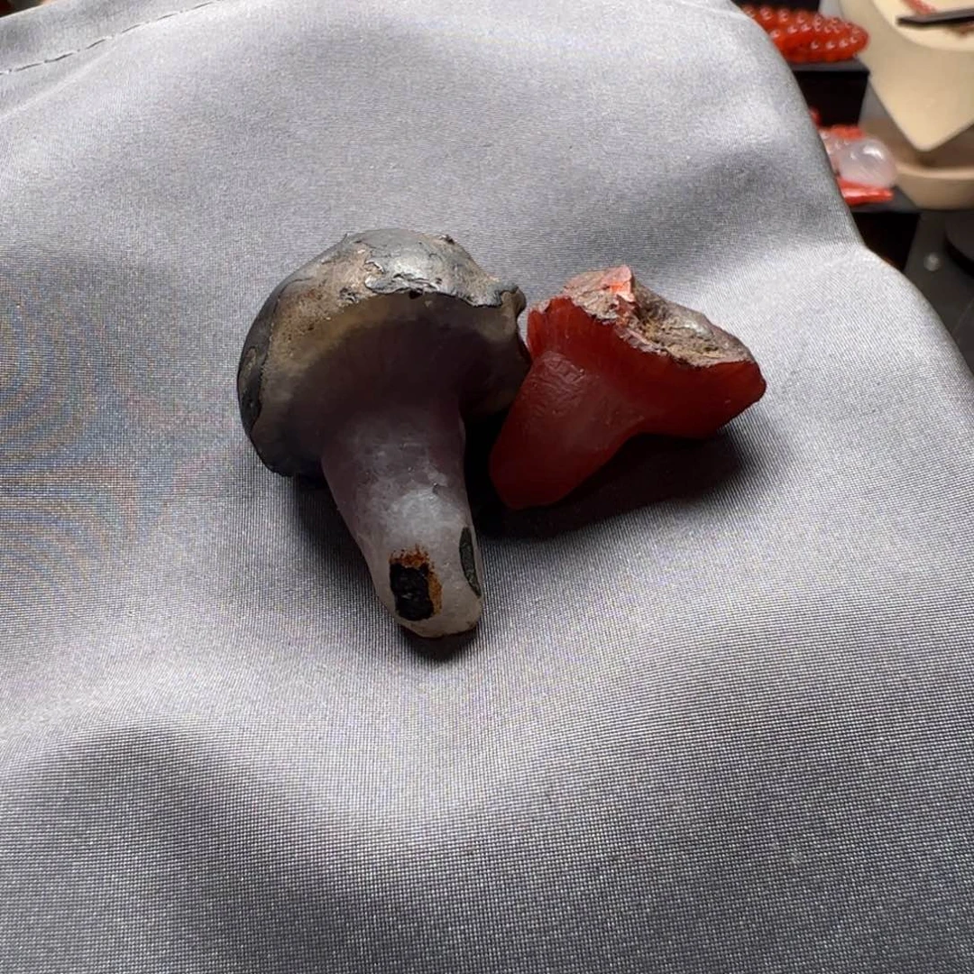 南红玛瑙吊坠未镶嵌