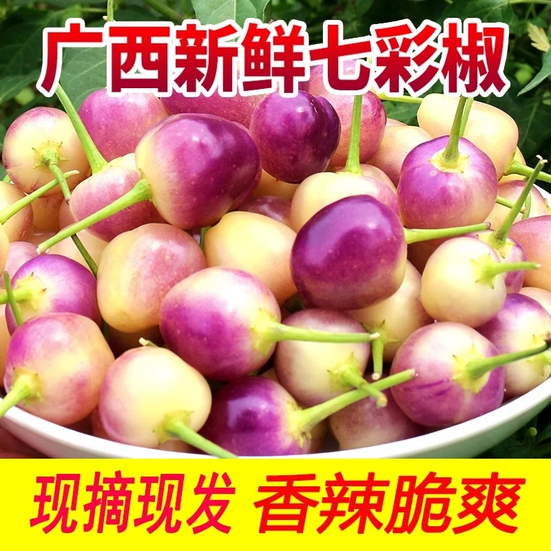 广西特产七彩灯笼椒新鲜农家自种包邮1斤5斤新鲜现摘现发微辣