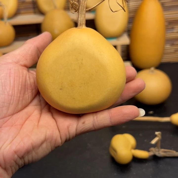 .****关5568899966889