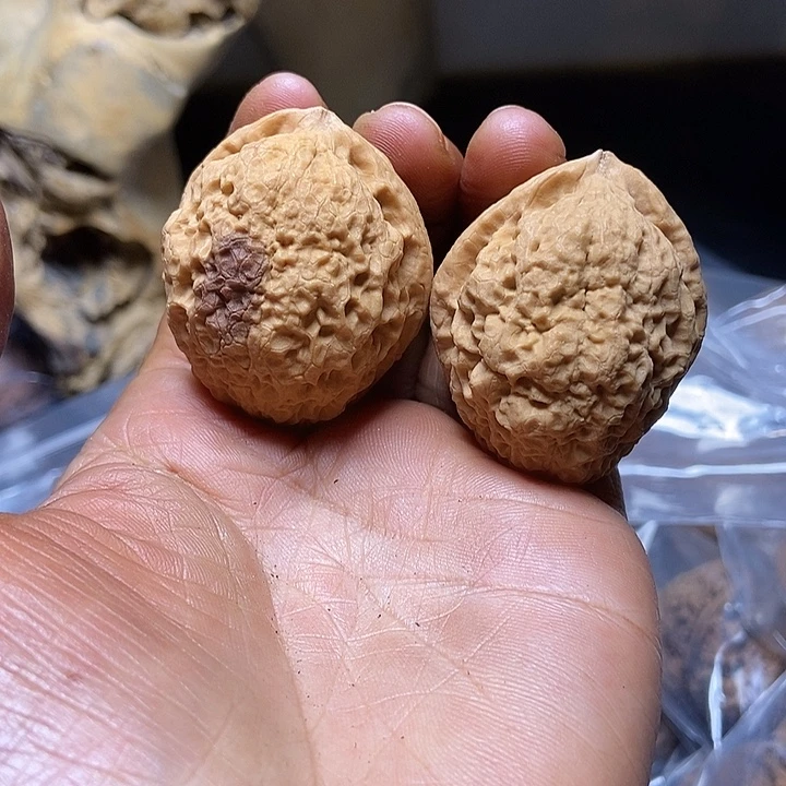 把件文玩核桃云南铁核桃基地37