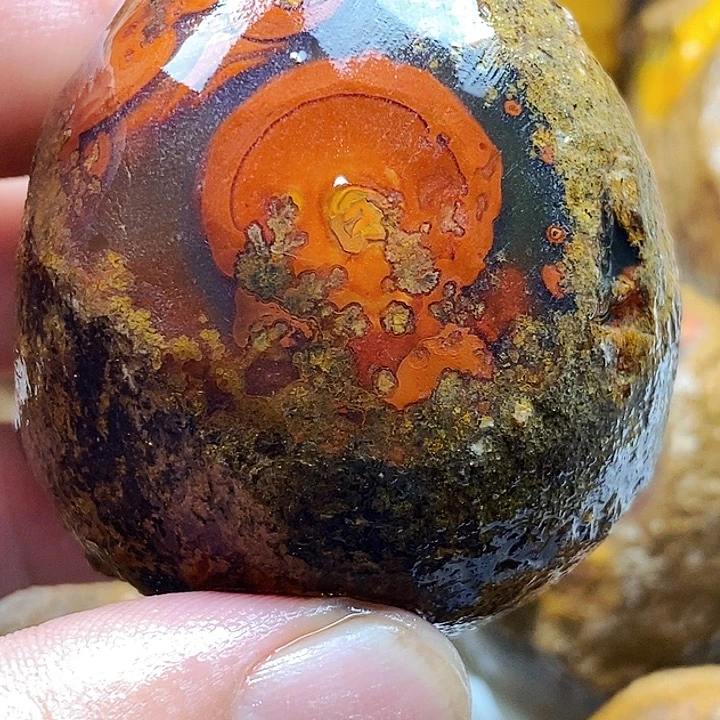 永***哥未镶嵌玛瑙/玉髓珠宝奇石