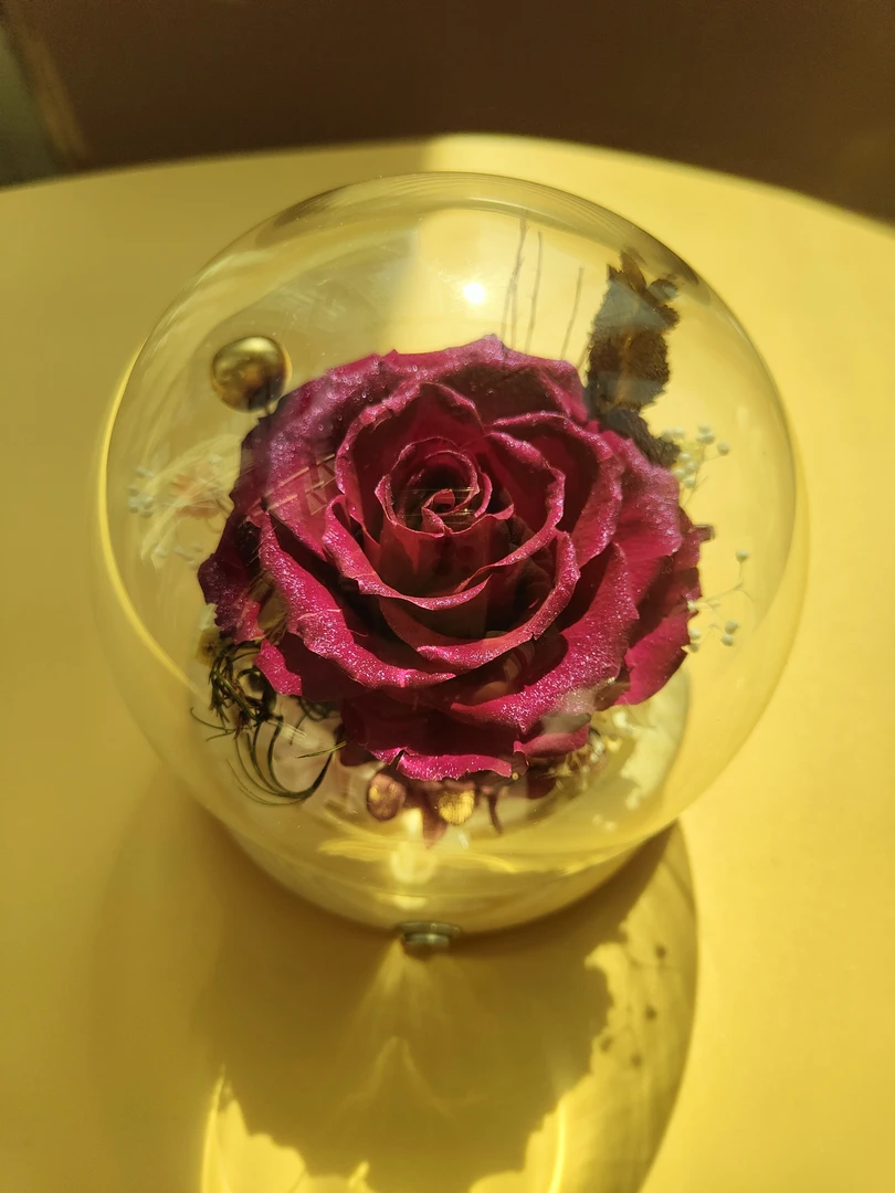 纯手工紫红永生花玻璃罩创意节日生日礼物礼品作品精致好物送女生