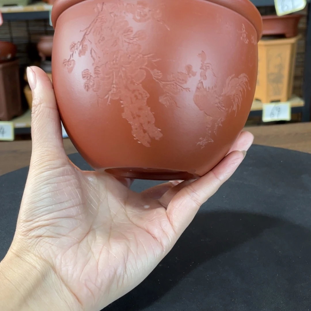 紫砂花盆我在开会