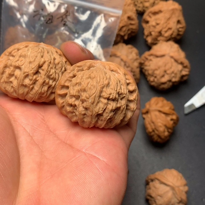 把件文玩核桃42白狮子346