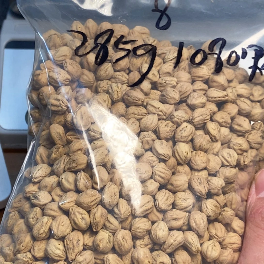 吊坠柏香籽/百香籽