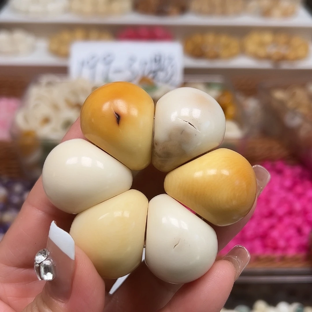 菩提根/象牙果手串瑕疵卡31双色蒜瓣一个表面有裂