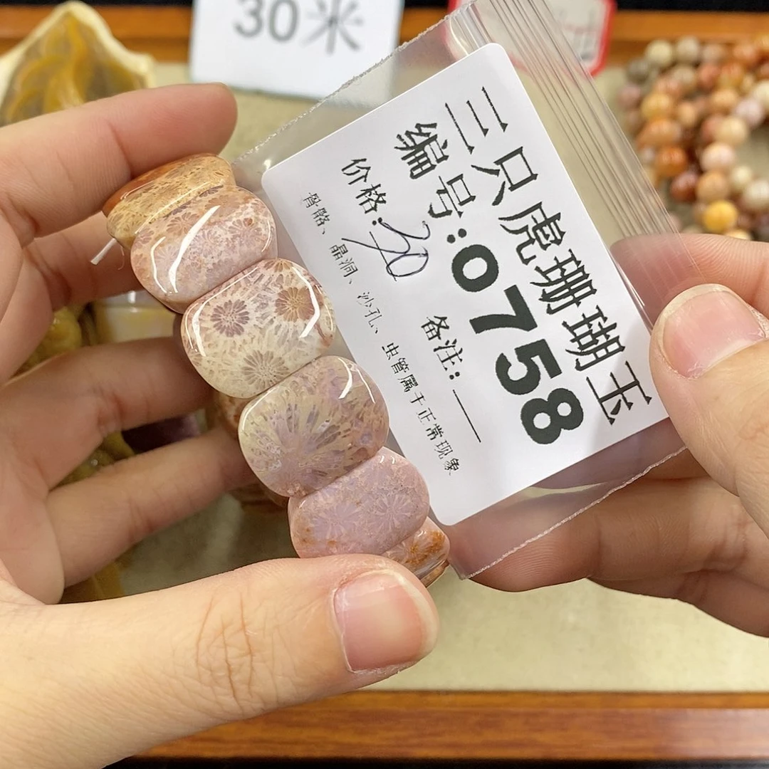 硅化珊瑚（珊瑚玉）1未镶嵌与**邻