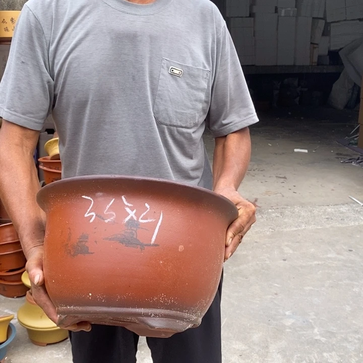 紫砂花盆盆栽花卉苗木种植