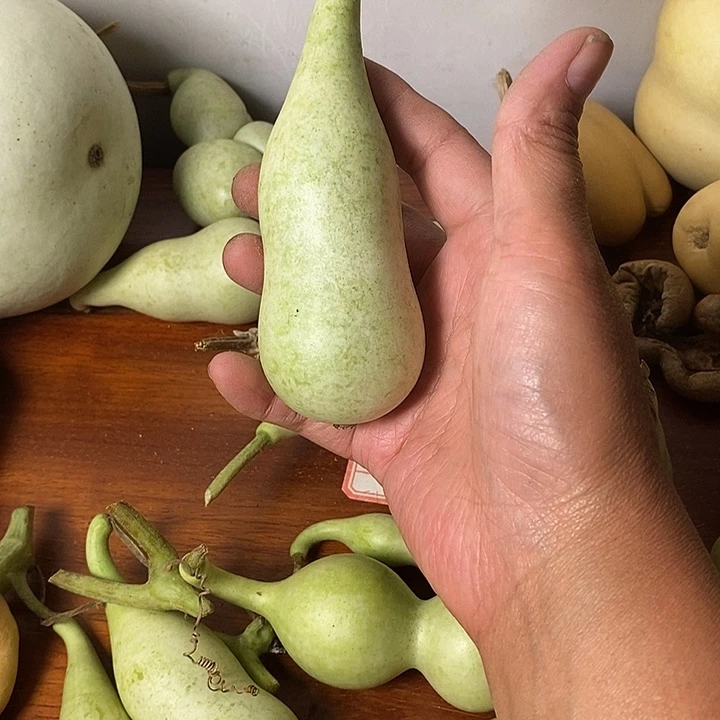 吥***惑青皮葫芦摆件手把件