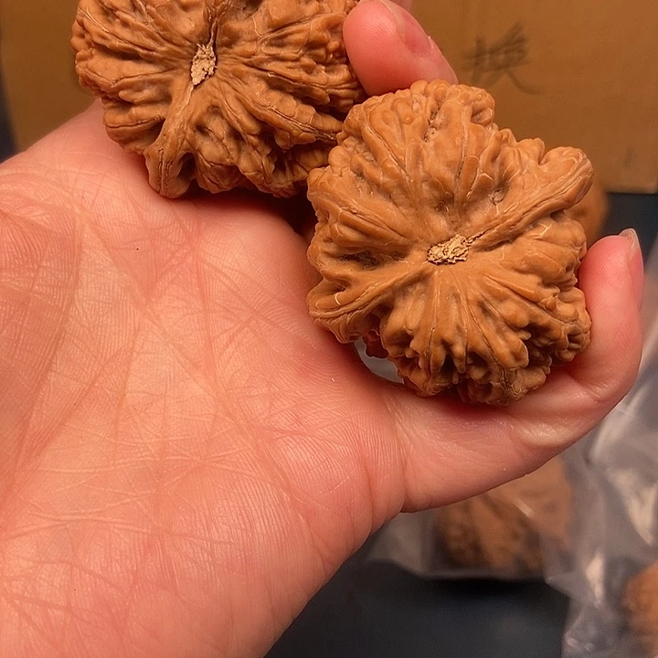 *****大大大大大粗筋歪