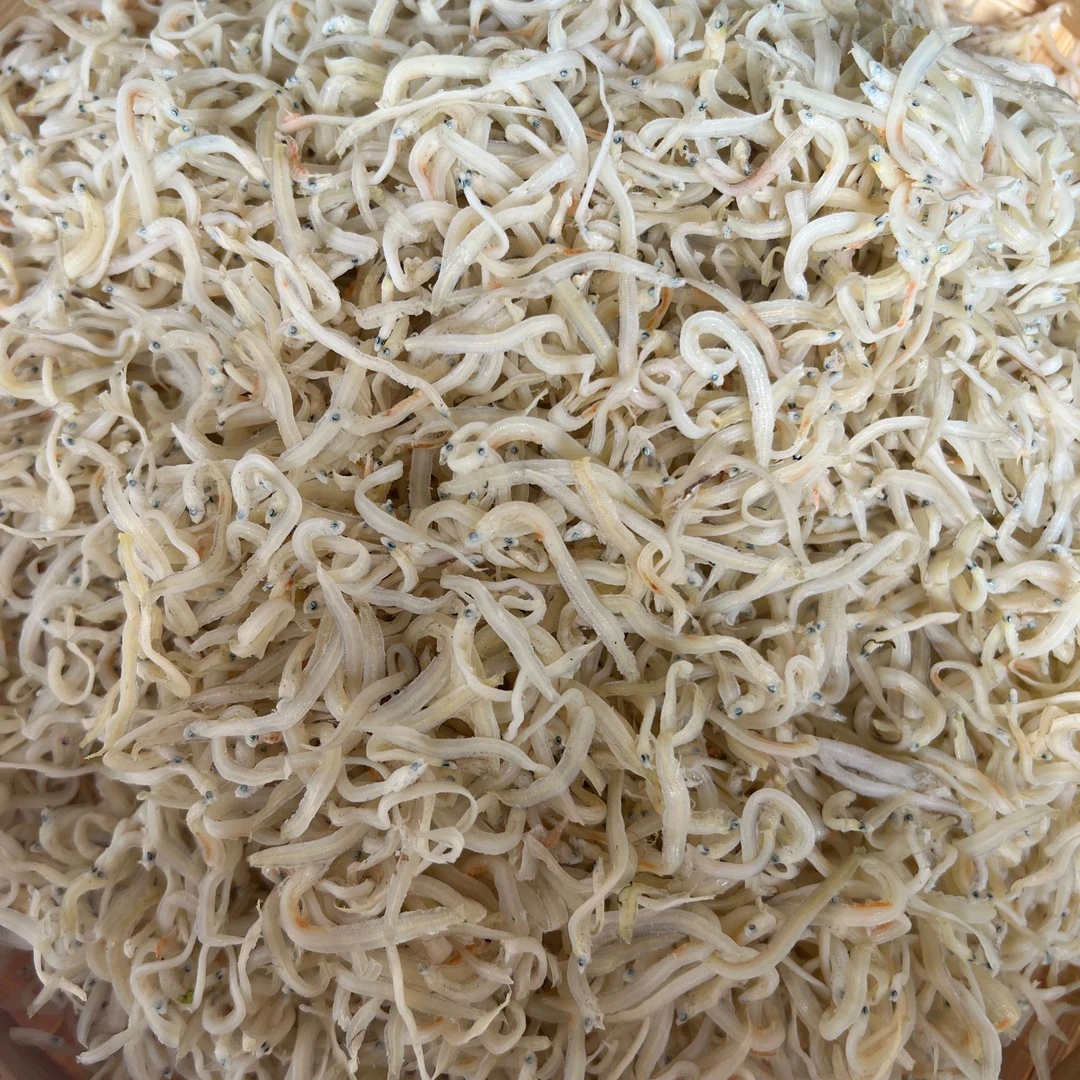 无沙无骨淡晒 小银鱼 面条鱼 口感鲜香