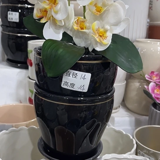 多肉绿植陶瓷花盆9.9包邮，有孔