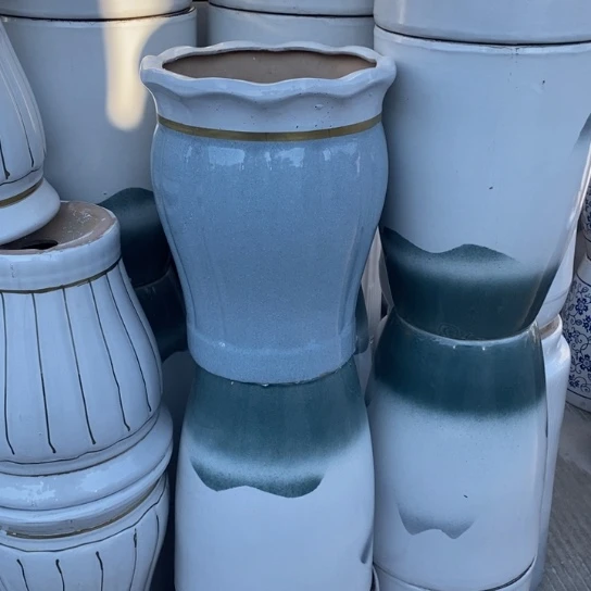 花口蓝南瓜中口25高32福利