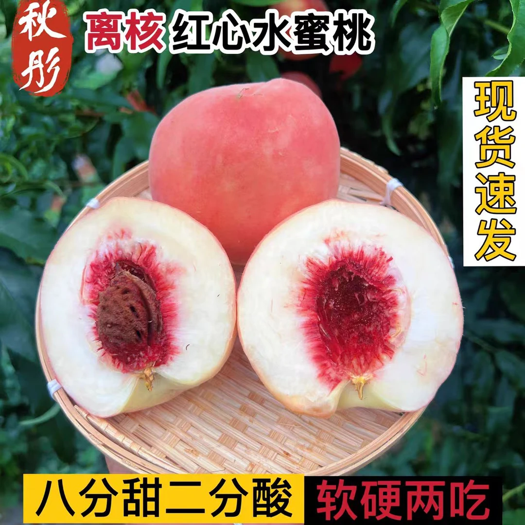 当季秋彤桃现摘现发软脆两吃（净重五斤）