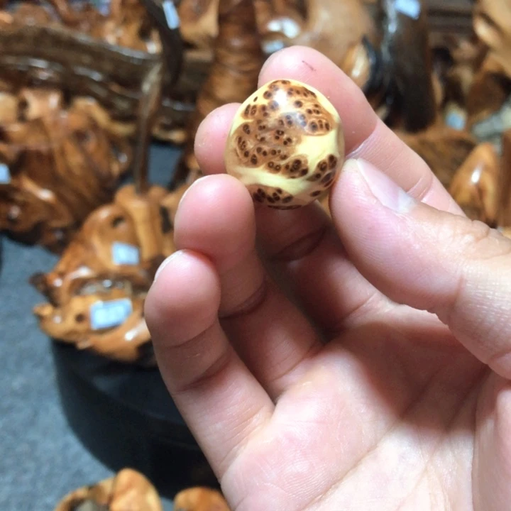 春***雨柏木（崖柏）崖柏手把6