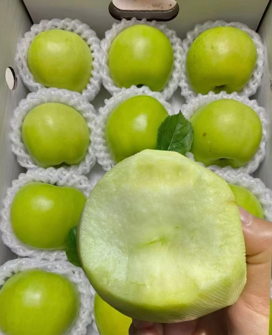 云南昭通高山青苹果头茌新果酸甜爽口自家果园现摘现发包邮