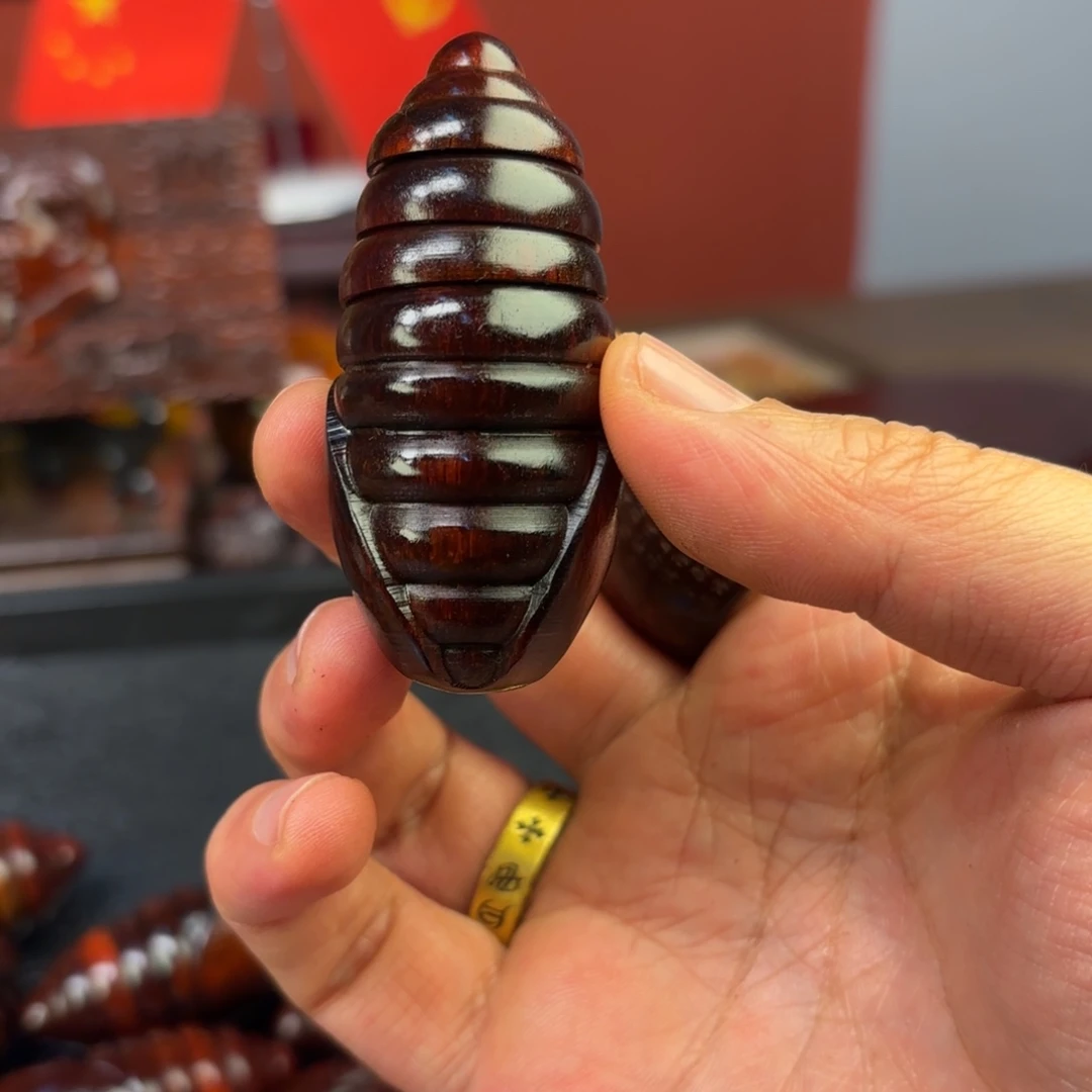 檀香紫檀（小叶紫檀）蛹